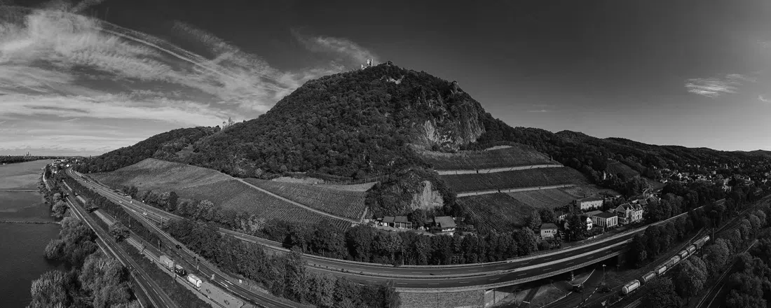 Weingut Pieper, Bonn