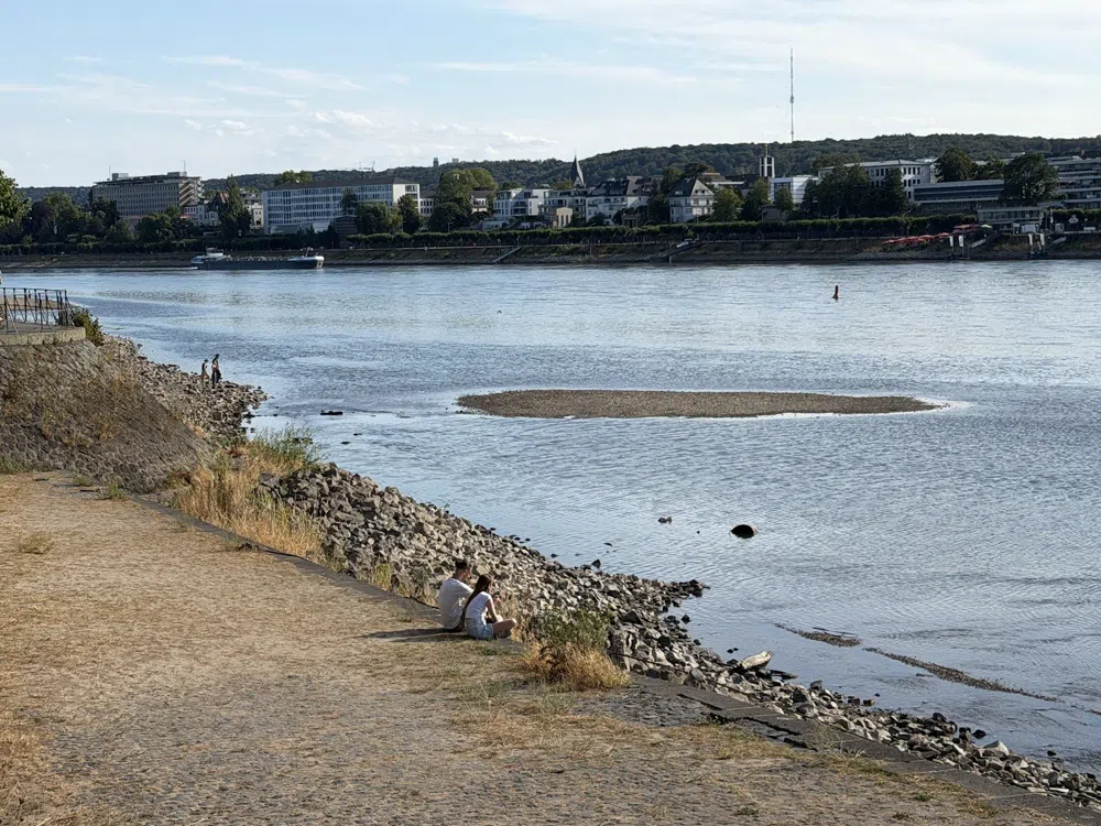 Slow Mornings and Easy Crossings on Bonn's Beuel Bank