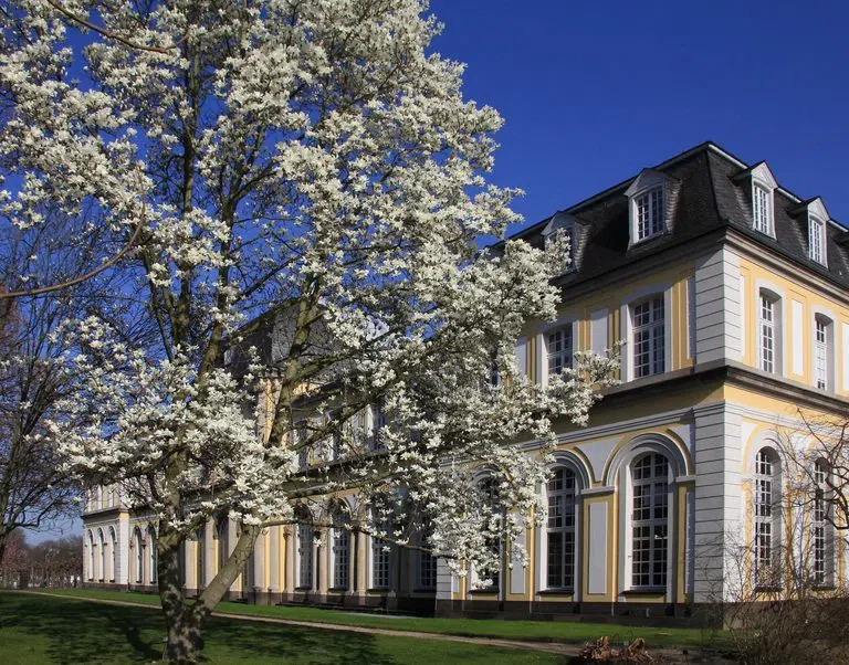 Botanische Gärten der Universität Bonn (Poppelsdorfer Schloss), Bonn