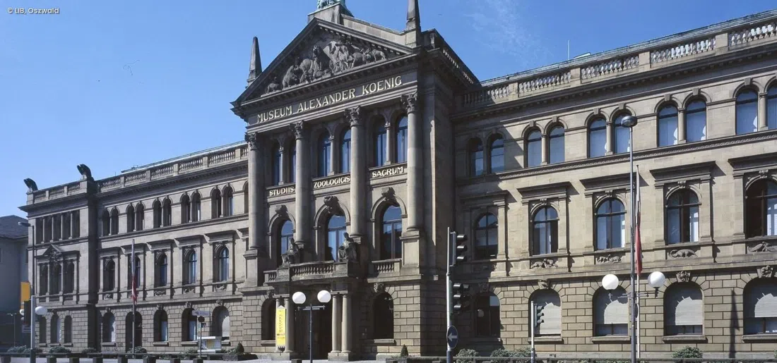 Museum Koenig Bonn (Leibniz Institute for the Analysis of Biodiversity Change), Bonn