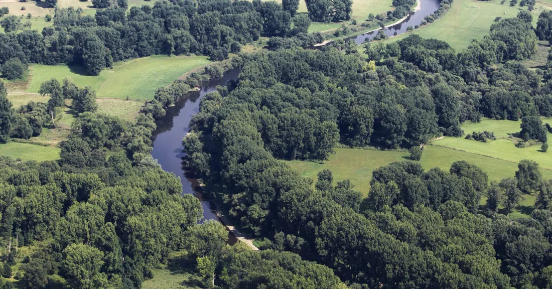 Naturschutzgebiet Siegmündung, Bonn