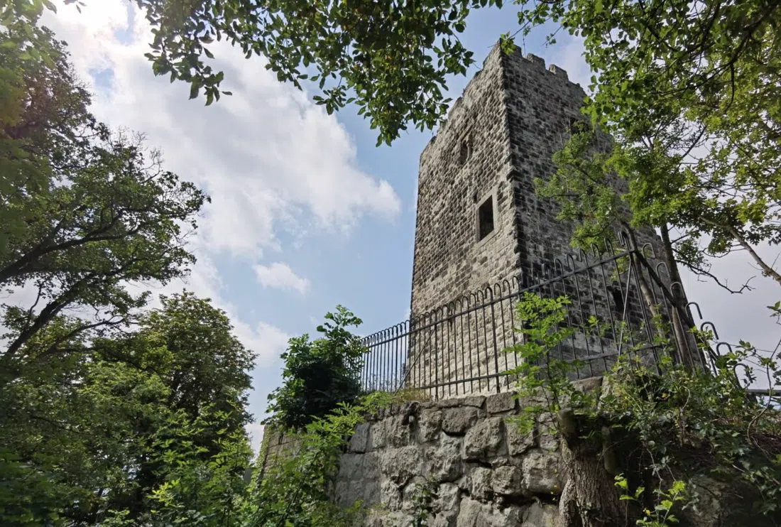 Drachenfels Castle Ruin and Summit Plateau, Bonn