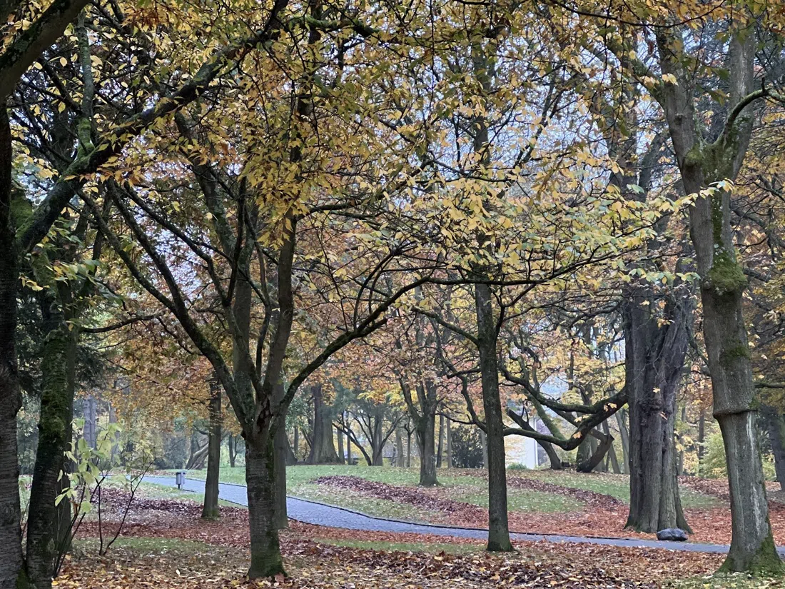 Redoutenpark und Stadtpark Bad Godesberg, Bonn