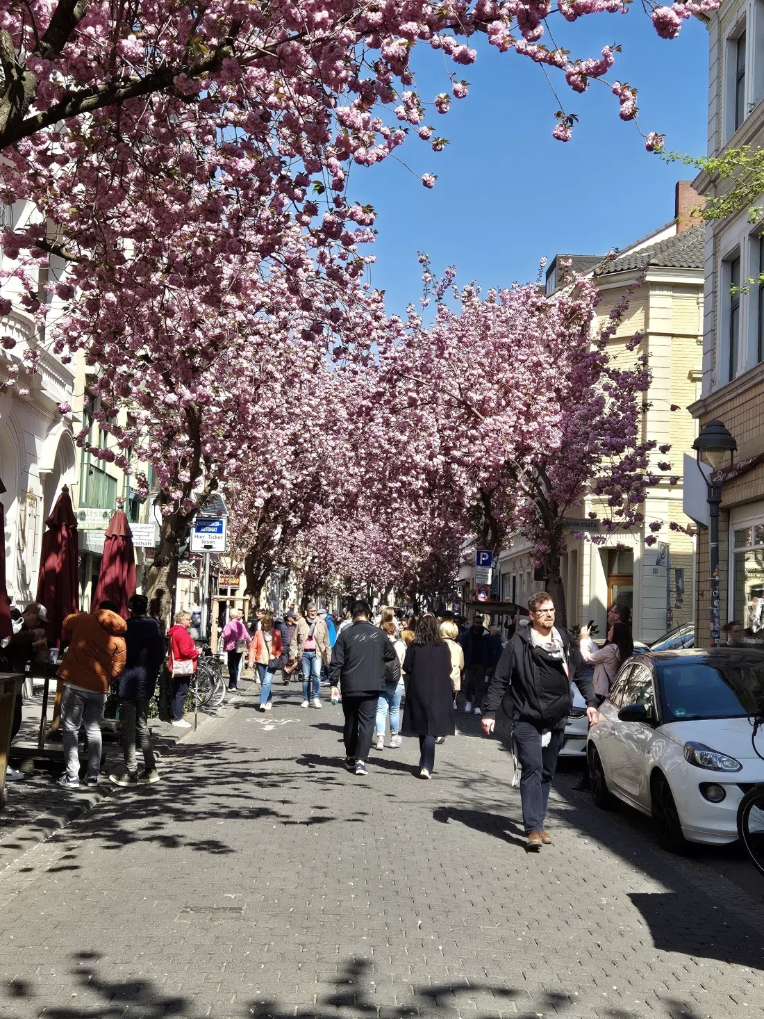 Bonner Street Food Festival (Altstadt, Mitte April), Bonn