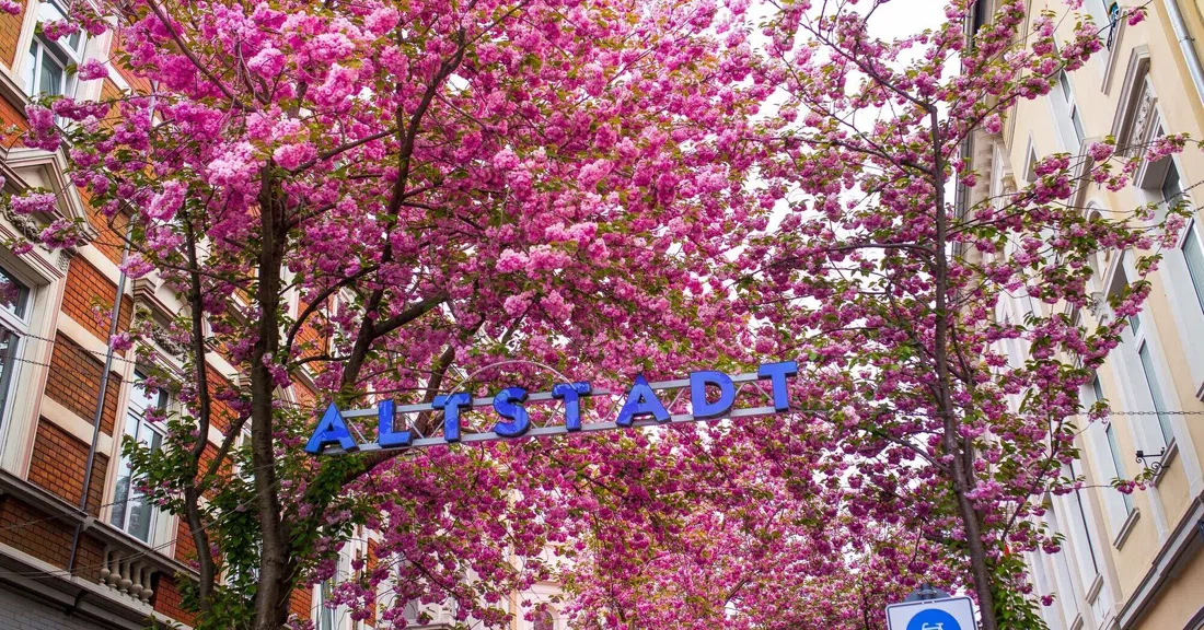 Heerstraße, Bonn