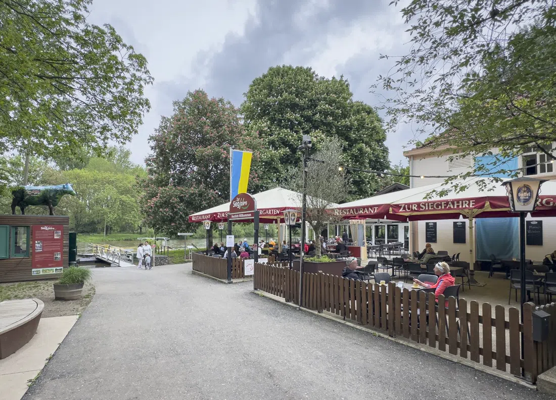 Siegfähre Bergheim, Bonn