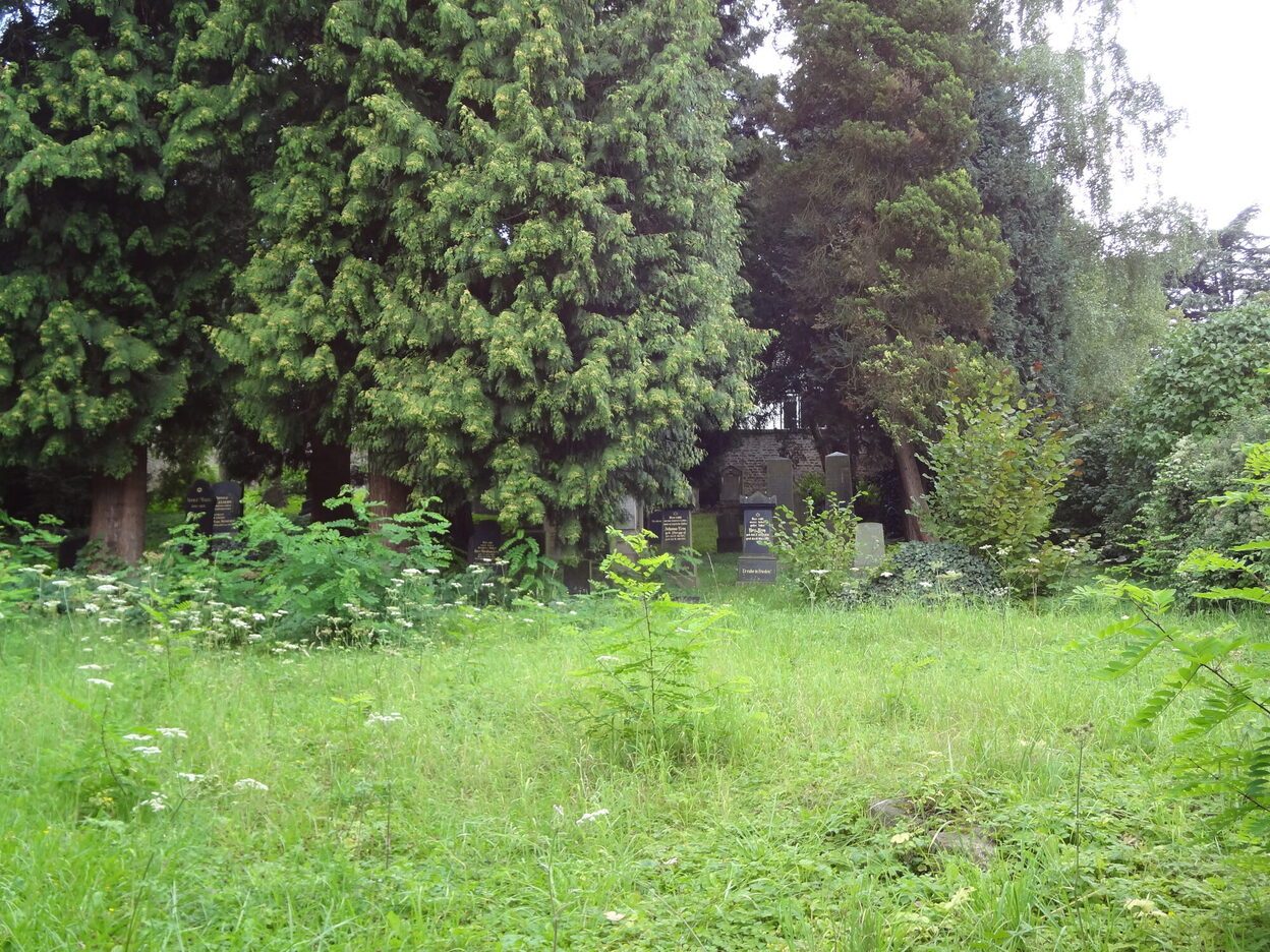 Jüdischer Friedhof Mehlem, Bonn