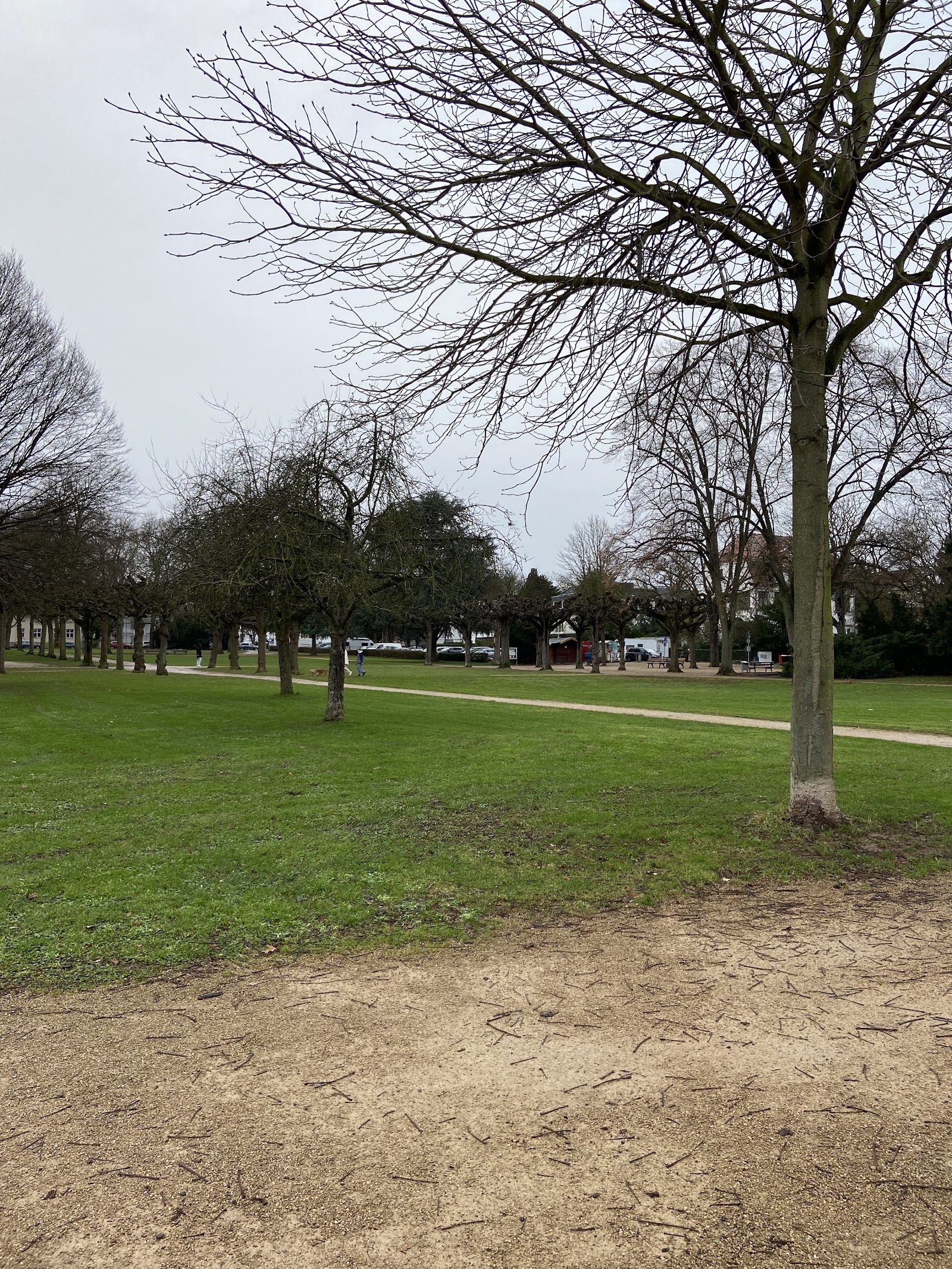 Panoramapark Rüngsdorf, Bonn