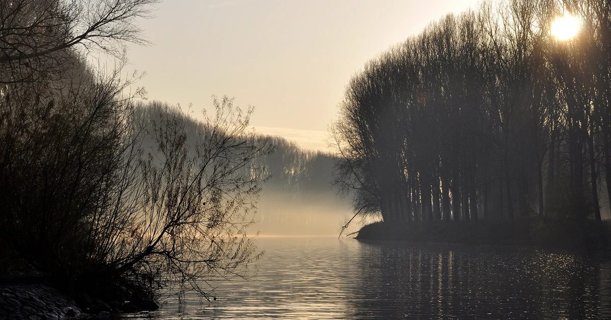 Naturschutzgebiet Siegaue und Siegmündung (Kemper Werth), Bonn