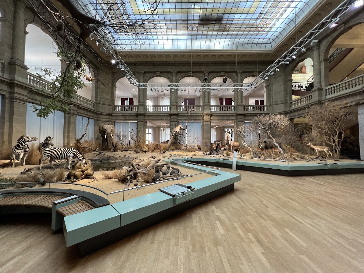 Museum Koenig, Bonn