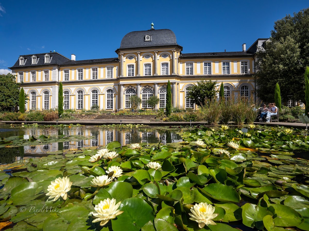 Poppelsdorfer Schloss, Bonn
