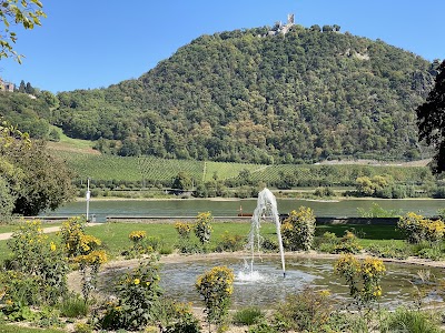 Rhine Promenade Cycling