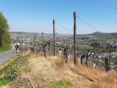 The Ahr Valley (Ahrtal)