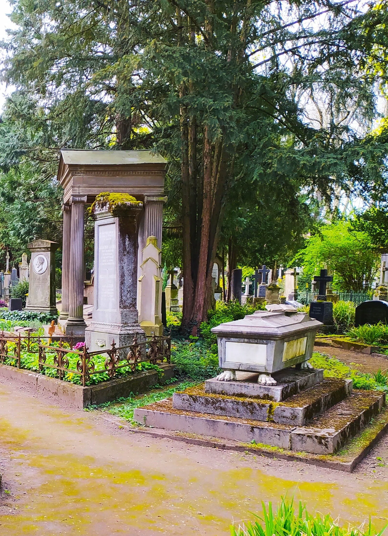 Alter Friedhof, Bonn
