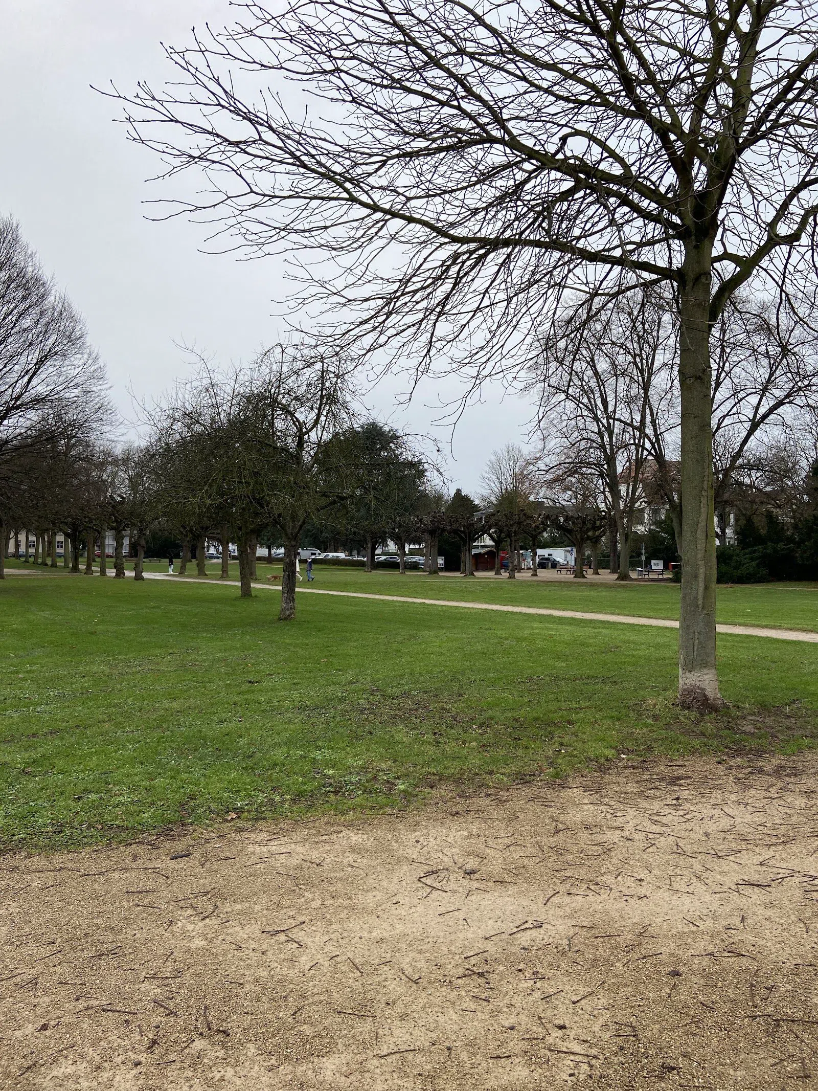 Panoramapark Rüngsdorf, Bonn