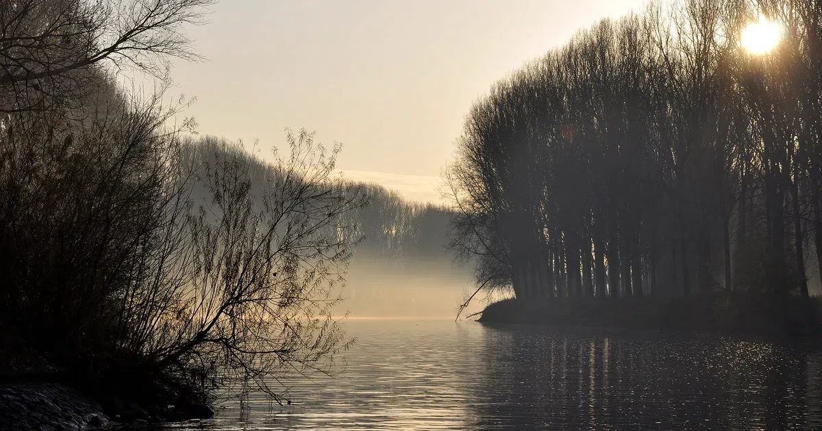 Naturschutzgebiet Siegaue und Siegmündung (Kemper Werth), Bonn